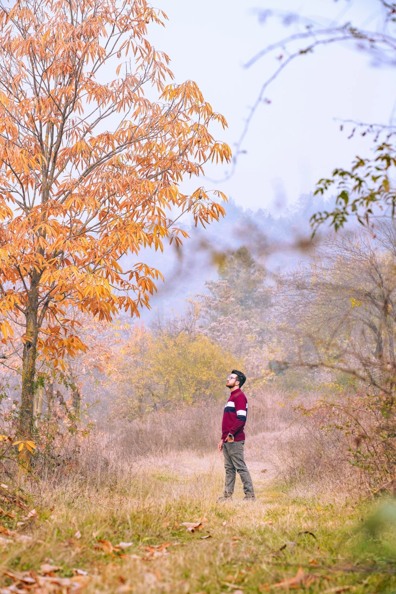 Mindfulness: Zihin Dinginliğine Giden Yol