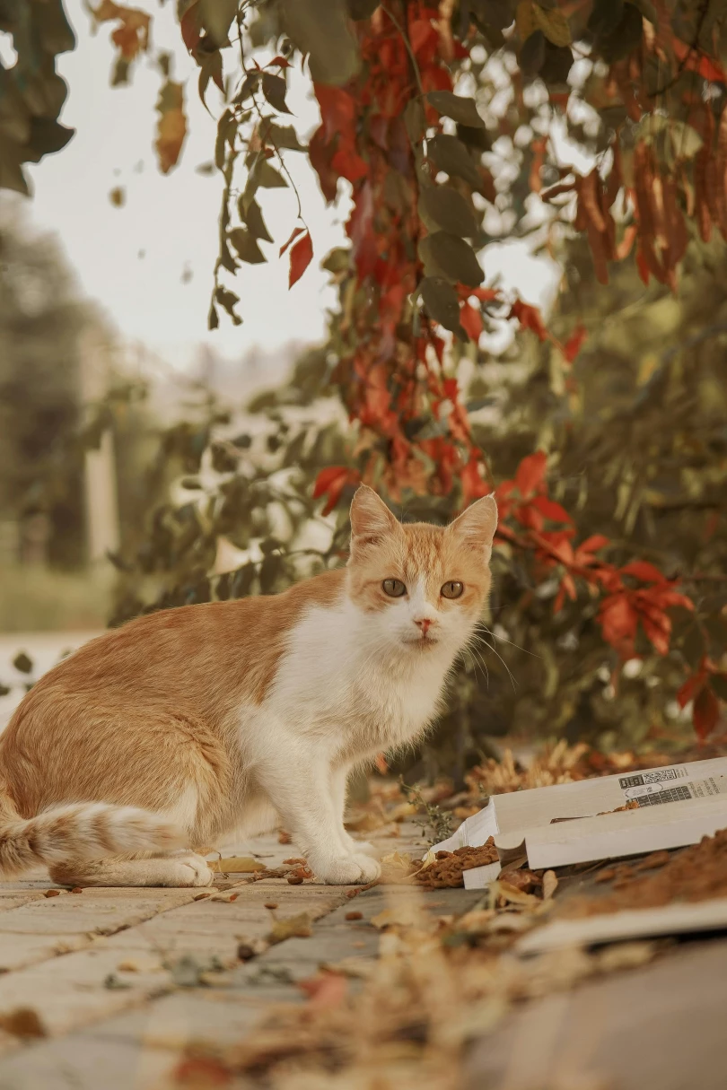 Dizi İzleme Alışkanlıklarınızı Değiştirecek 10 İpucu